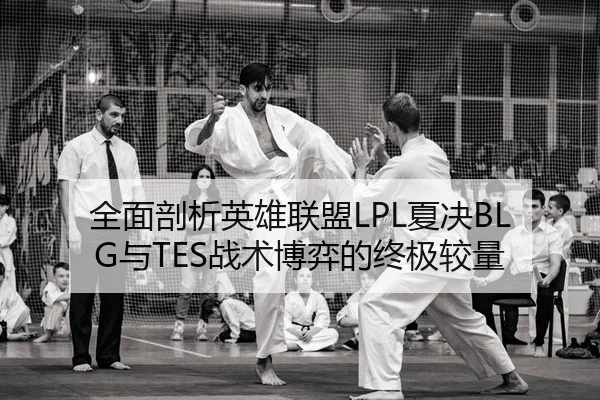 全面剖析英雄联盟LPL夏决BLG与TES战术博弈的终极较量